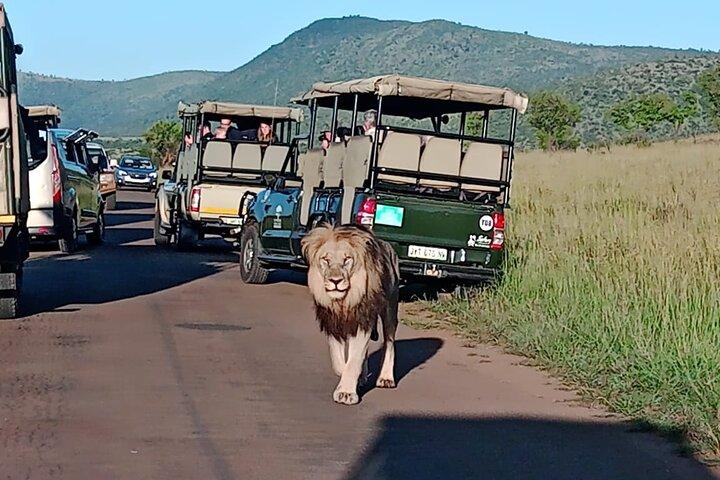 2 Day Pilanesberg Luxury Safari