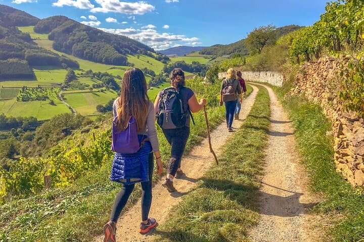 Wachau World Heritage Hike