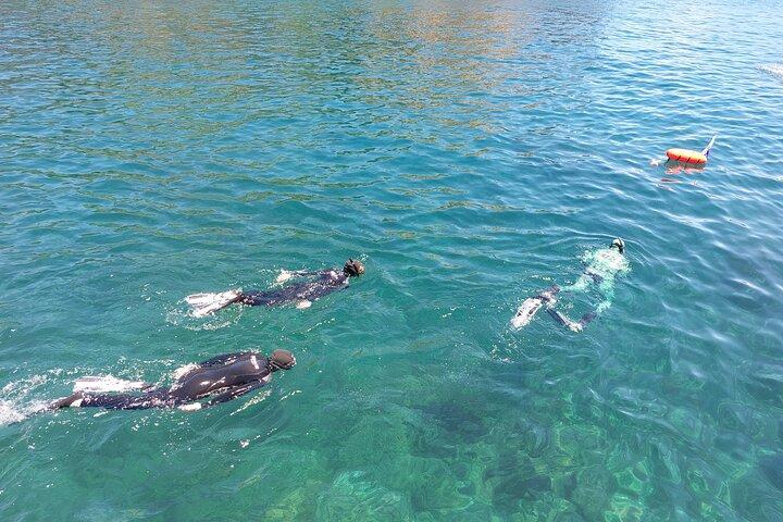 Third Island: Ilhéu das Cabras Boat Tour + Snorkeling