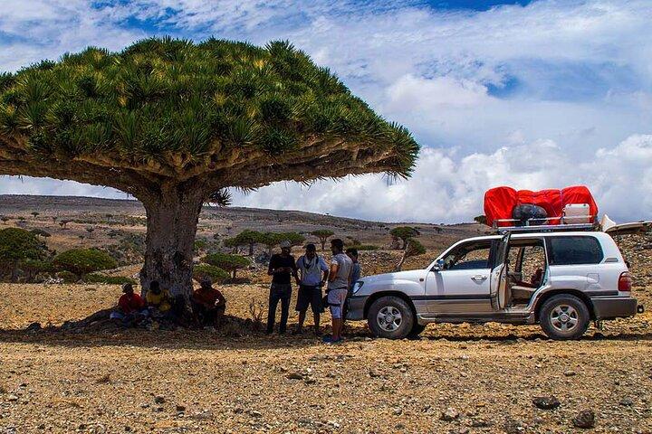 Explore Socotra Island |8 Days | PrivateTour(Oct 2025 – May 2026)