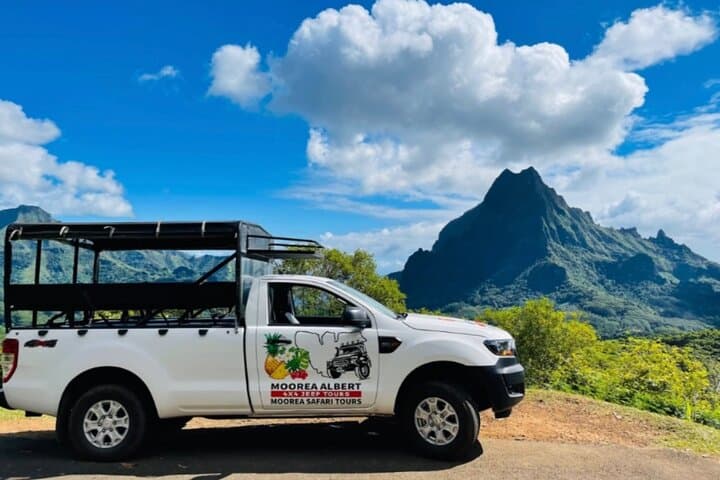 ALBERT TOURS: Excursion 4x4 safari with private SWING view point
