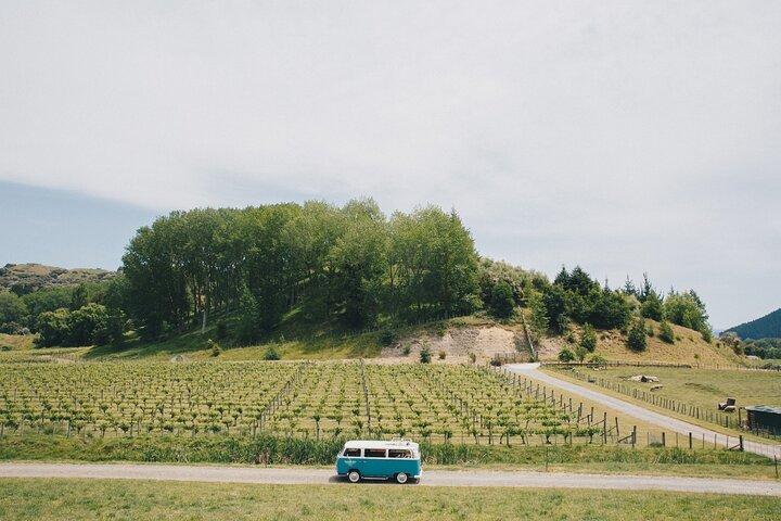 Napier and Hawkes Bay Scenic and Art Deco Tour by VW Kombi