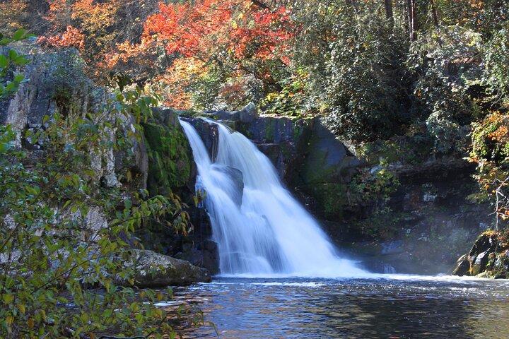 Cades Cove Sightseeing Self-Guided Driving Audio Tour