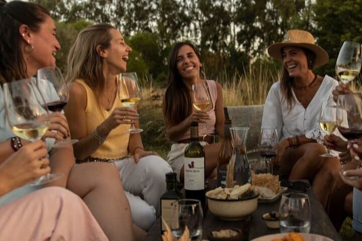 Visit 3 Wineries (The Enemy Included) + Lunch & Private Transport