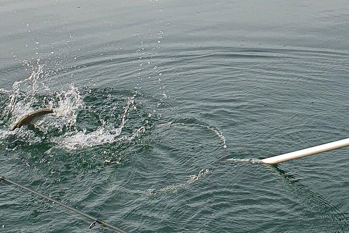 Fishing Tour with a Fishing Boat at Lake Constance (Untersee)