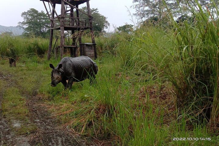 Jeep safari (Sharing, 4-5 hrs.) inside Chitwan National Park.