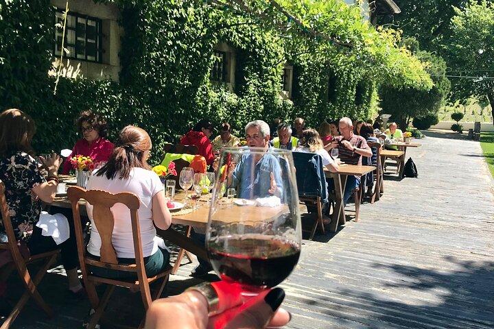 Douro: luxury walking tour with lunch at Quinta da Pacheca
