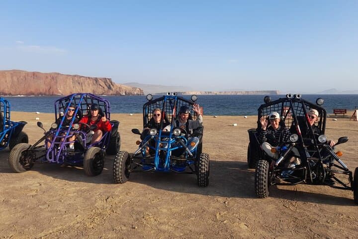 Paracas : Mini Buggy Tour in the National Reserve