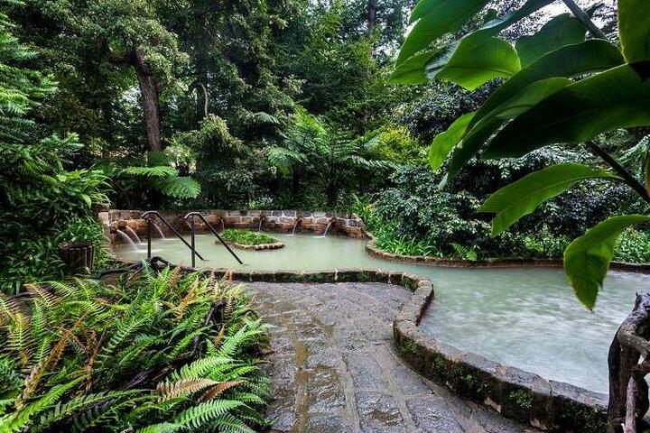 Private Guided Tour to Furnas and thermal baths.