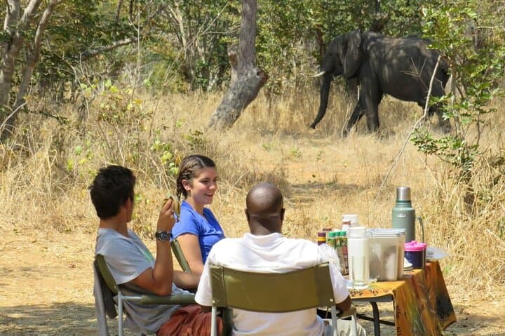 Chobe Safari Overnight Camping Trip