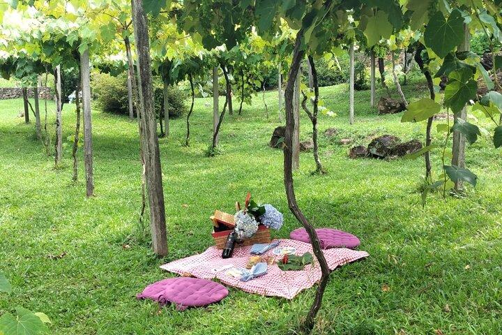 Private Picnic at the Vinícola Gardens in Gramado