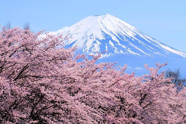Mt Fuji and Hakone 1-Day Bus Tour Return by Bullet Train