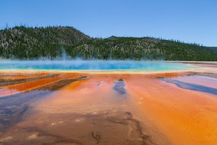 Full Day Yellowstone Nat'l Park Tour from Big Sky - Private Tour