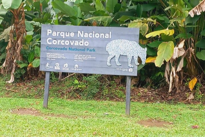 Corcovado National Park, Tour with lunch, San pedrillo.