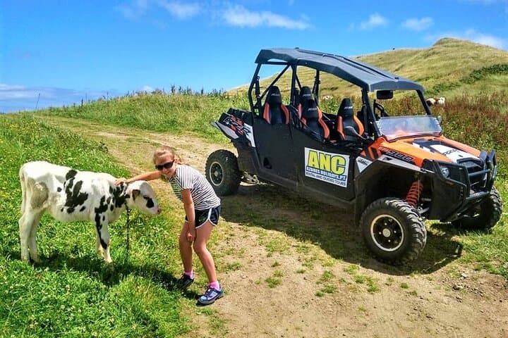 Buggy – Off-road Excursion w/ lunch – Coast to Coast (Shared)