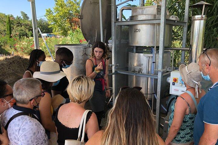 Guided tour Distillery of Lavender between Nîmes & Arles