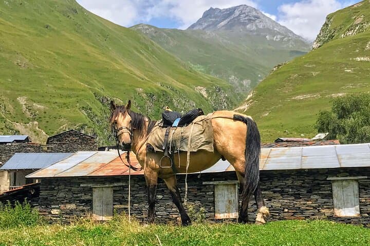 3-Day Tusheti: Omalo, Dartlo & Abano — Small Group 4x4 Adventure