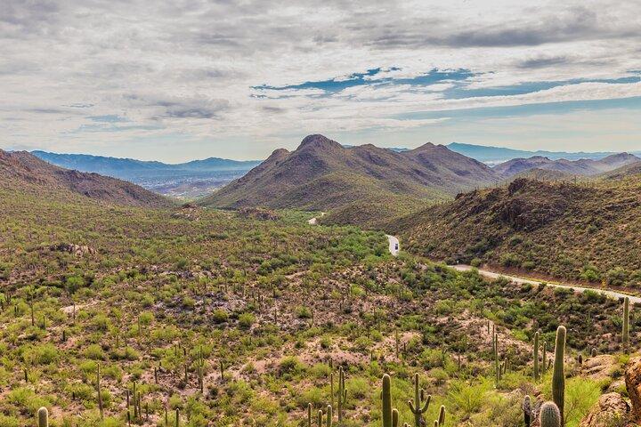Saguaro National Park Self-Guided Audio Tour