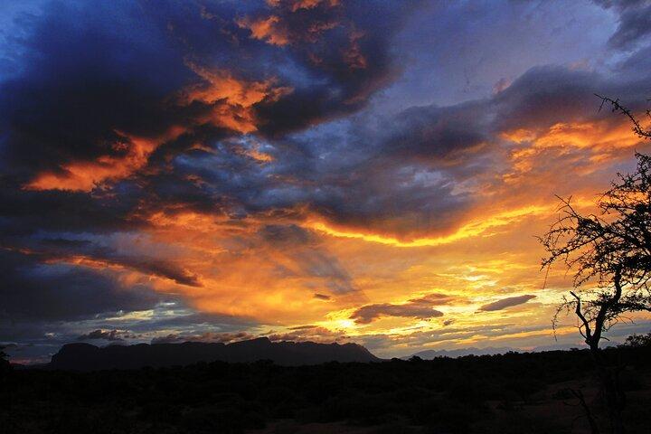 Exclusive Sunset Game Drive Safari near Hoedspruit