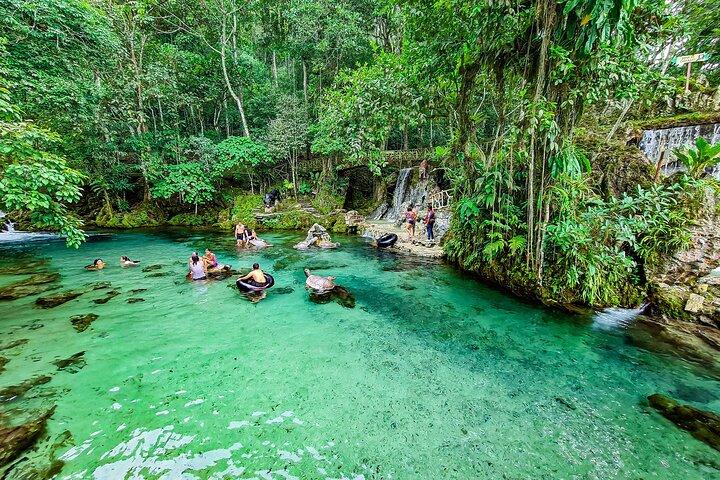 Alto Mayo Full Day Tour from Tarapoto