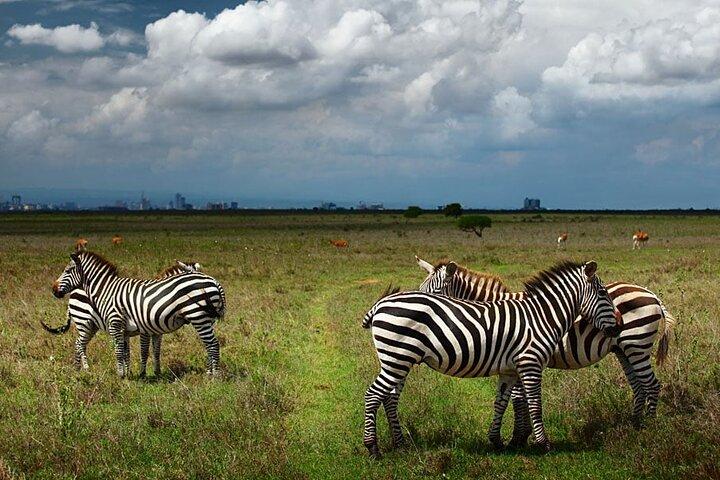 Nairobi National Park and Giraffe Center Day Tour