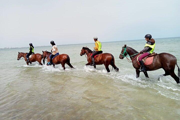 Horseback riding with private transfer