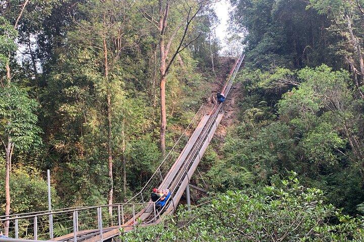 Full Day Trip - From Nha Trang to Dalat including Datanla Fall