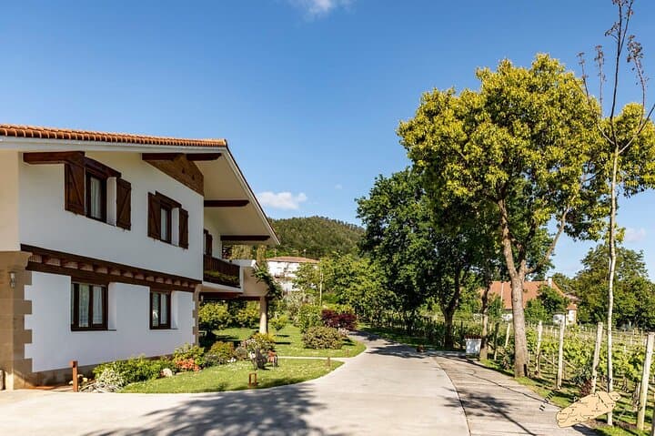 Private Basque Vineyard Visit: Txakoli Wine Tasting from Bilbao