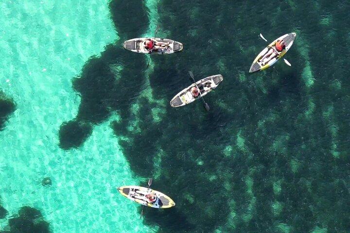 Kayak tour in Golfo Aranci with aperitif and Dolphin watching