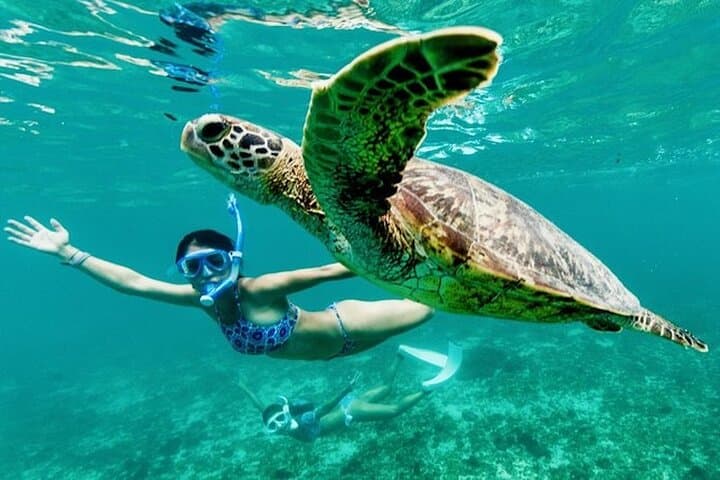 Private Swimming with Turtles/Sharks at Blue Lagoon and Waterfall