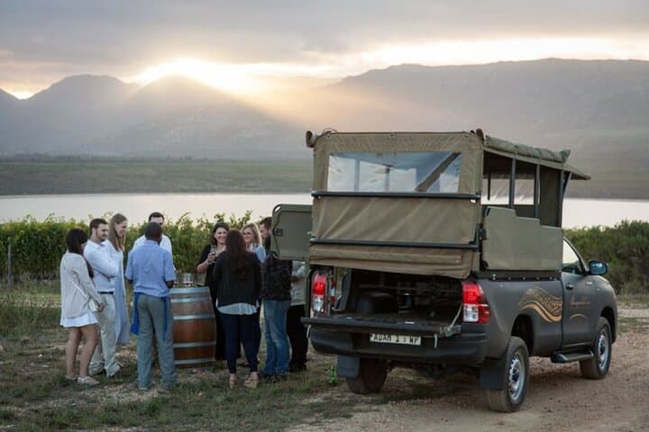 Vineyard Safari and Wine Tasting in Hermanus with Guide