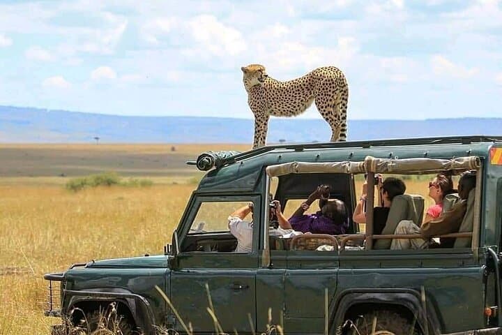 2 days Tarangire and Ngorongoro Group safari