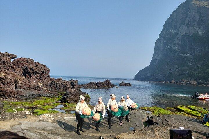 Private Tour Woman Diver Performance & stone park in Jeju Island