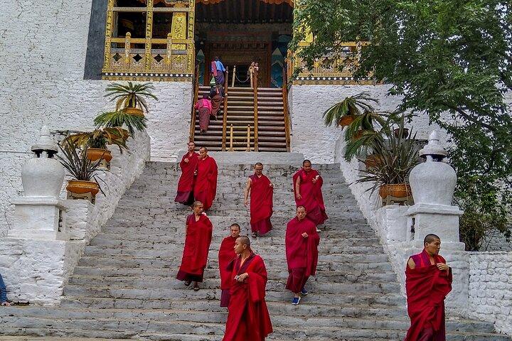 8 Day Cultural Immersion