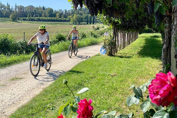 E-Bike Tour and wine tasting in Lazise Countryside