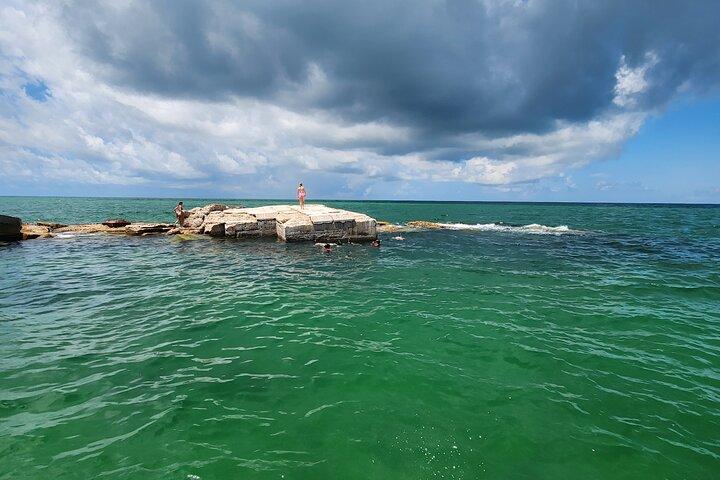 Boat tour with Watersports and snorkeling near st pete beach