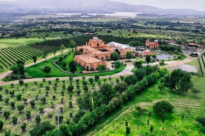 Vineyard, tour, tasting and fun in San Miguel de Allende