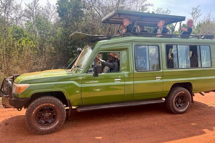 1 Day Akagera National Park Safari experience