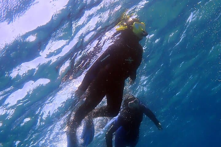 Snorkeling in Costa Teguise: 2-Hour Guided Tour in Lanzarote