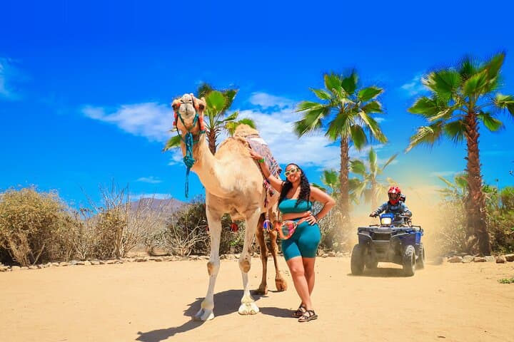 Cabo ATV Tour, Camel Ride with Tequila and Mexican Buffet Lunch