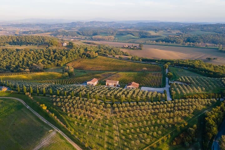 2 Hours Visit and Wine Tasting with tastings in Val D'Orcia