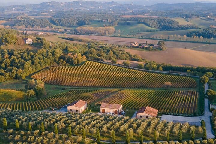 1h30m Wine Tasting and Visit to Val D'Orcia