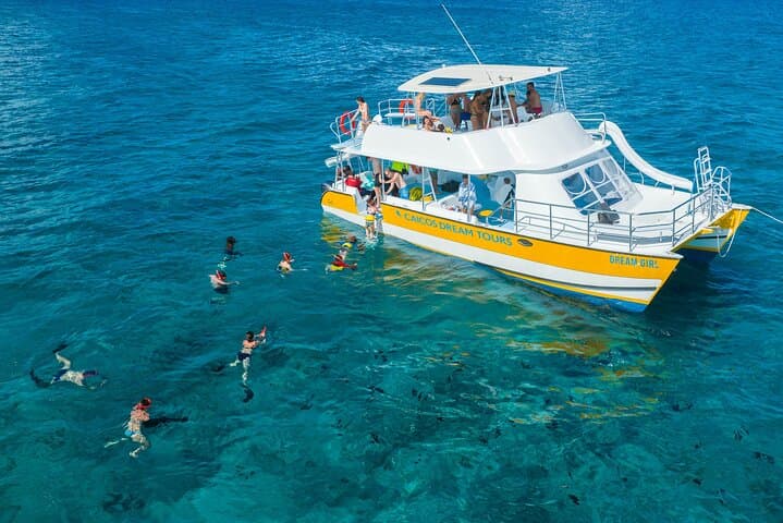 Afternoon Half Day Cruise from Providenciales with Snorkeling and Iguana Island