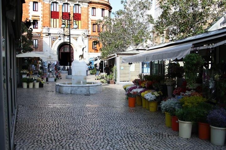 2 Hours Tour around Cádiz: History, anecdotes and curiosities
