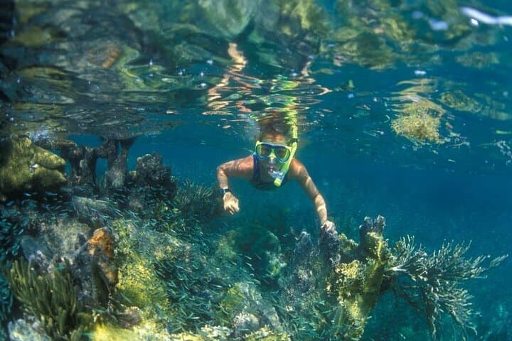 Cham Island Private Tour: Only Snorkeling, Beach and Swimming