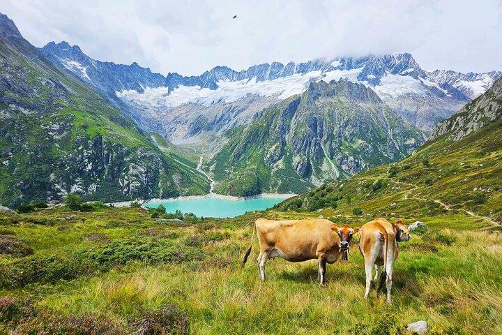 Full-Day Hiking Swiss Alps and Lake swim with Pick-up