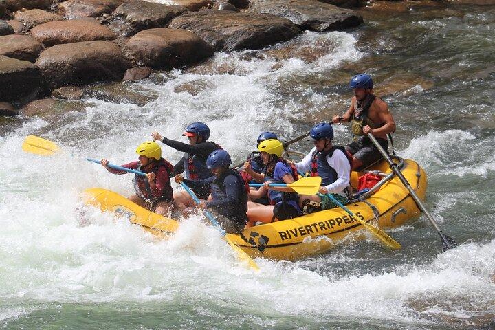 Durango ~ "Half-Day" Rafting Trip on the Lower Animas River