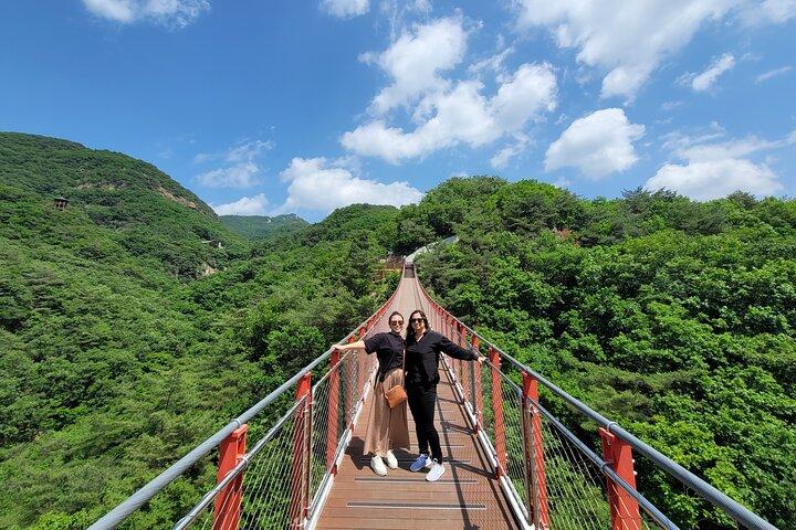 Small Group DMZ Tour with Hotel pickup : 3rd tunnel&Susp. Bridge