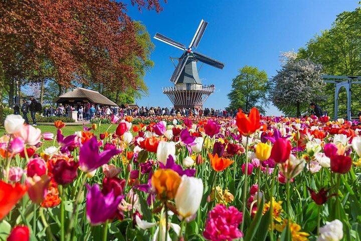 From Amsterdam: Keukenhof Gardens & Windmill Cruise Tour