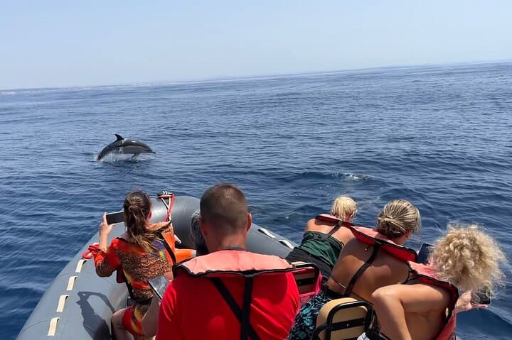 Dolphins & Benagil Caves 3h Small-group tour with Biologist